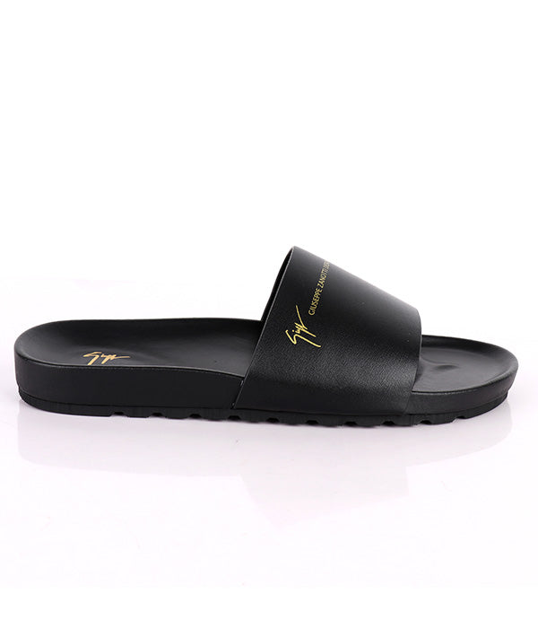 Zanotti Cover Slides