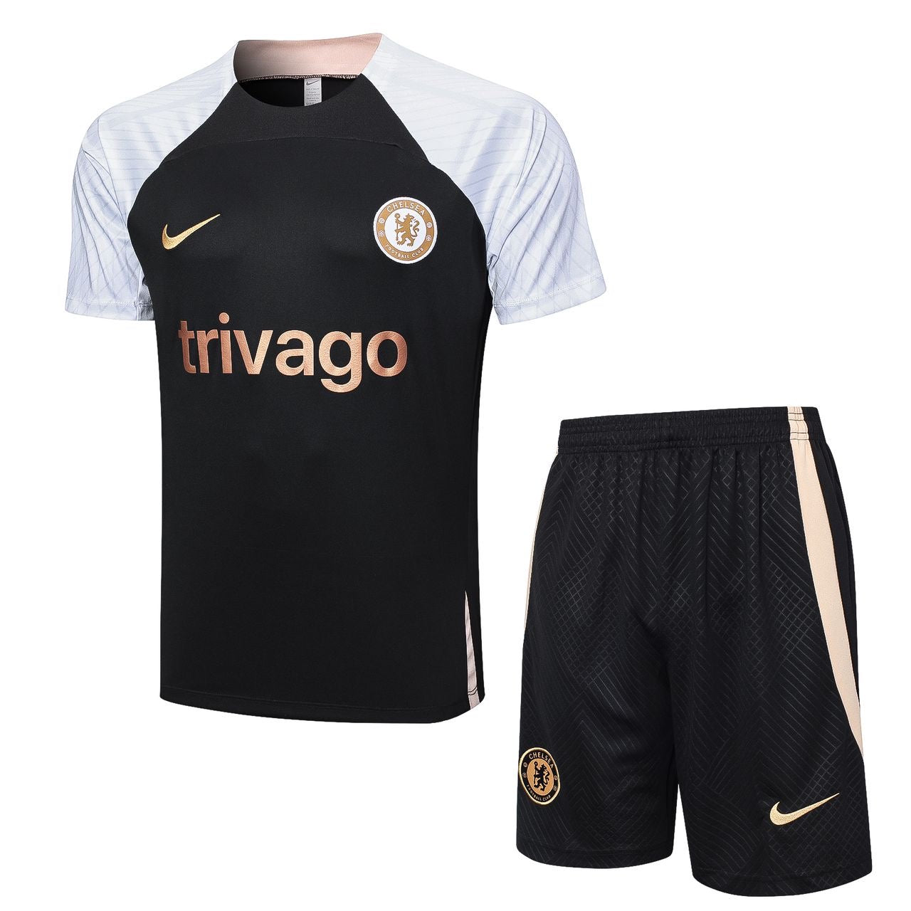 2023-2024 Chelsea Training Kit